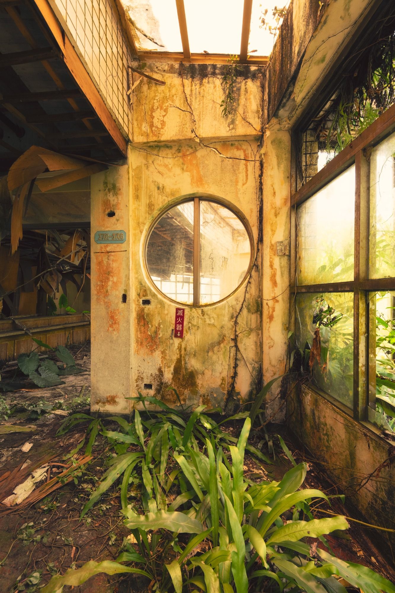 Overgrown Jungle Taiwan 4