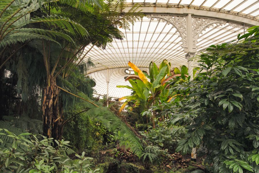 Kibble Palace3