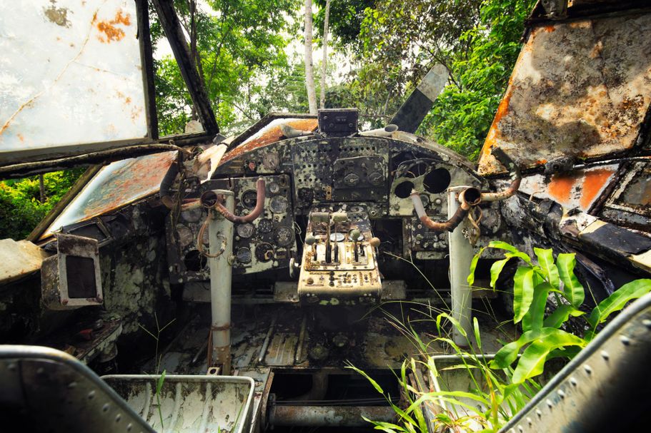 Amazon Ghost Control