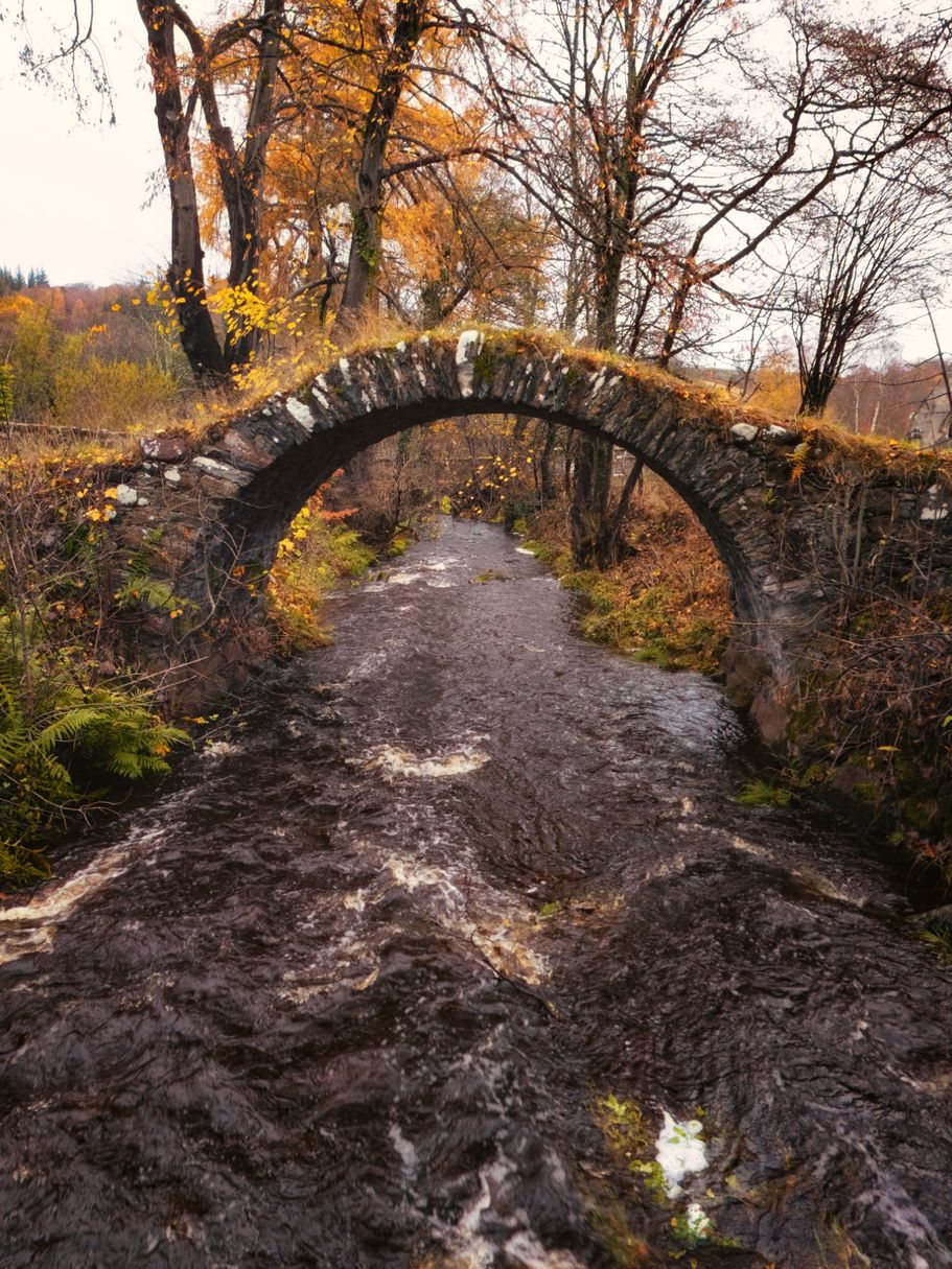 Bridge2