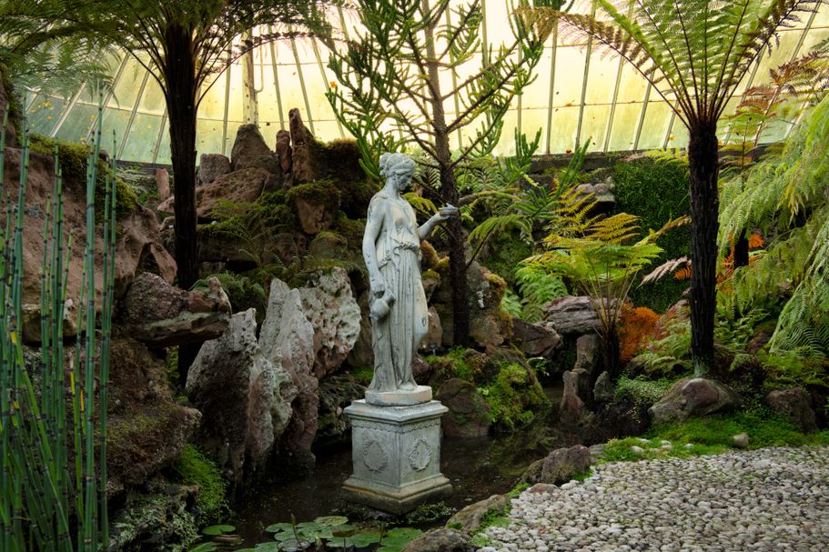 Fern Paradise 3