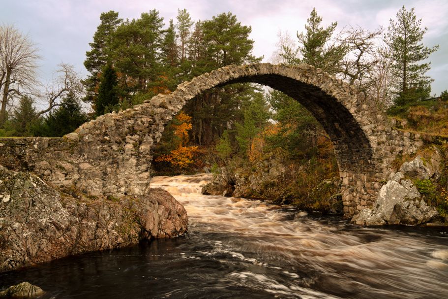 Bridge1