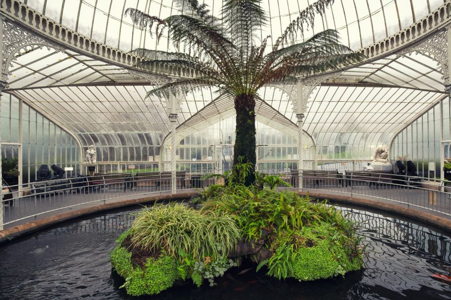 Kibble Palace4
